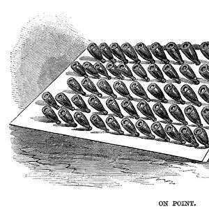 WINEMAKING: STORAGE, 1866. Bottles of sparkling wine stacked on point to collect