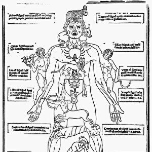 The Zodiac Man - The oldest printed bloodletting chart, showing the astrological signs for bloodletting, or the correspondences between the parts of the body and the Zodiacal regions. Woodcut from Johannes de Kethams Fasciculus Medicinae, 1493