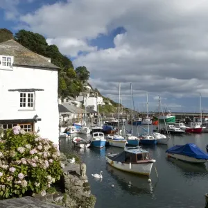 Polperro Cornwall Print at High Tide Polperro Cornwall Print at High Tide