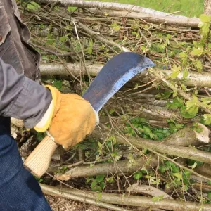 Hedging Print: A Philip Godwin Hedge Laying Craft Hedging Print: A Philip Godwin Hedge Laying Craft