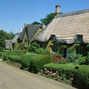 Oxfordshire Collection: Great Tew
