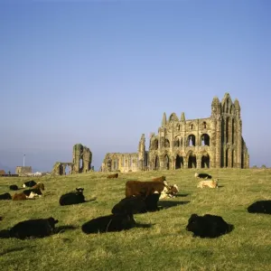 Whitby Abbey Print - Winter Afternoon Scene Whitby Abbey Print - Winter Afternoon Scene