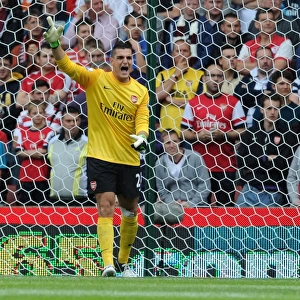 Vito Mannone's Defiant Performance: Arsenal vs Stoke City (2012-13)