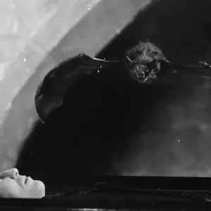 Scars of Dracula StudioCANAL 35mm Print