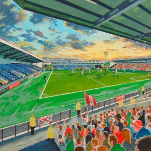 Excelsior Stadium Fine Art - Airdrieonians Football Club