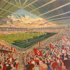 Langtree Park Stadium Fine Art - St Helens Rugby League Club