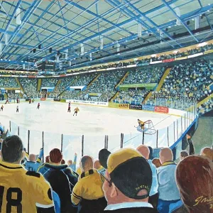 James Muddiman Glass Frame Collection: Ice Hockey Stadia