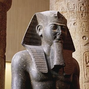 Ancient Egyptian statue of Ramses II found in Tanis, detail
