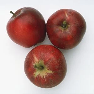 Apple Katia, three red apples