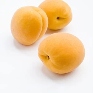 Apricots on white background, close-up