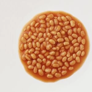 Baked beans on white plate, overhead view