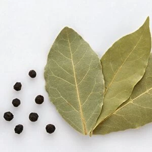 Bay leaves and black peppercorns