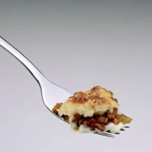 Beef lasagne on fork