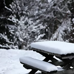 Bench under the snow in winter