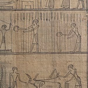 Book of the Dead on papyrus, the priest Iahmes ploughing and harvesting in the Afterlife