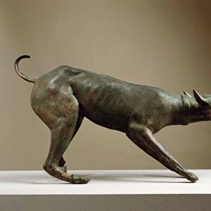 Bronze statue of dog growling, from Volubilis (Morocco)