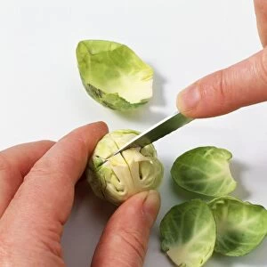 Brussels sprouts being cut using paring knife