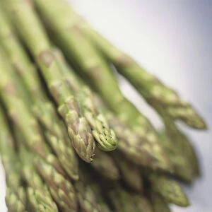 Bunch of Asparagus spears, close up
