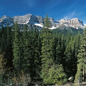 Canada, Alberta, Banff National Park (UNESCO World Heritage List, 1984, 1990). Conifer forests at foot of Rocky Mountains
