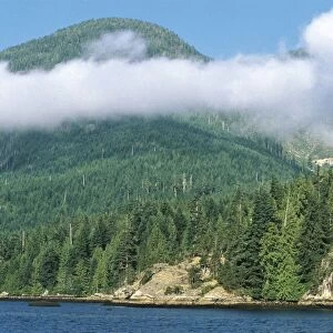 Canada, Vancouver Island, British Columbia, Pacific Coast, Pacific Rim National Park