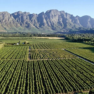 Cape Wine Route, Franschhoek, Western Cape