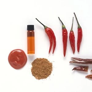 Capsicum frutescens (Cayenne), fresh and dried red cayenne chilli peppers, powdered chillies, ointment, and phial of infused oil