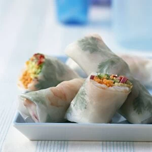 Chopped vegetables spring rolls on dish