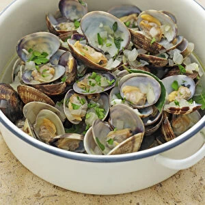 Clams in white wine sauce in pan, close-up