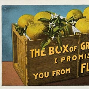 Crate of Florida Grapefruit. ca. 1911, Florida, USA, THE BOX of GRAPEFRUIT I PROMISED YOU FROM FLORIDA