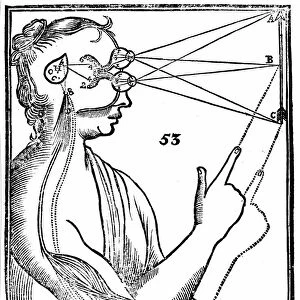 Descartes idea of vision, showing passage of nervous impulse from the eye to the pineal gland