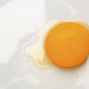 Whole egg yolk, a litte egg white around, above view
