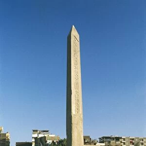 Egypt, Cairo, Al-Matariyyah, Heliopolis, Obelisk of Sesostris I