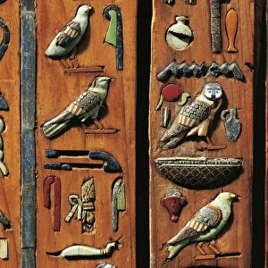 Egypt, Tuna el-Gebel, Necropolis of Hermopolis, Detail of Cover of the wooden sarcophagus of Zedthotefankh (brother of Petosiris, the high priest of Thoth), glass paste hieroglyphs, late period