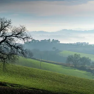 Countryside Print: Foggy Landscape in Macerata, Italy Countryside Print: Foggy Landscape in Macerata, Italy