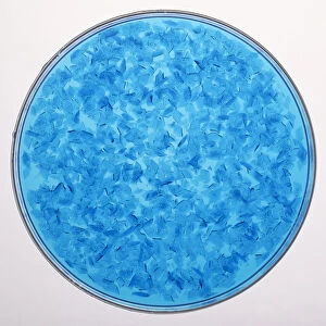 Experiment showing crystal formation, copper (II) sulphate crystals after four hours, large enough for their triclinic structure to be visible