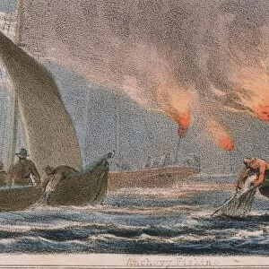 Fishing fleet netting anchovy at night using flares. From Graphic Illustrations of Animals