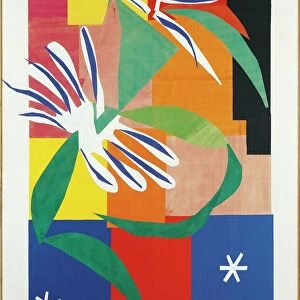 Art Prints Mounted Print Collection: Henri Matisse