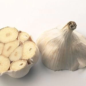 Fresh garlic head cut across into halves, close-up