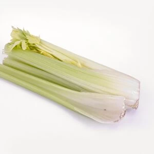 Fresh organic celery
