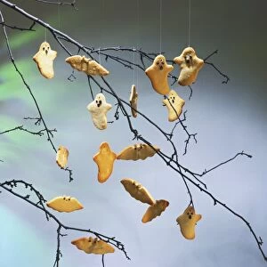 Ghost and bat shape biscuits hanging on threads, twigs in background