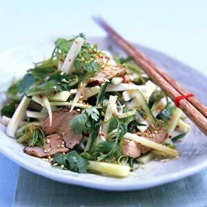 Goi Bun, Vietnamese salad of roast pork with cucumber, celery, sesame seeds, chilli, coriander, on a plate, with a pair of chopsticks