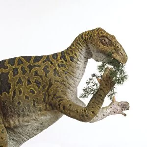 Iguanodon eating green plant