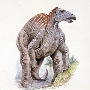 Illustration of Telmatosaurus