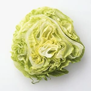 Lettuce cut in half, close up
