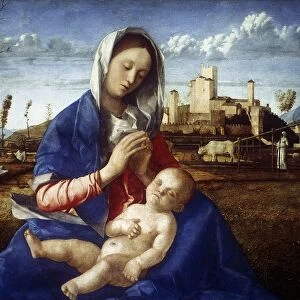 The Madonna of the Meadow, c1500. Giovanni Bellini (c1430-1516) Italian painter