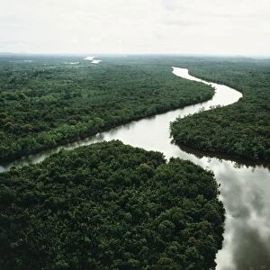 Malaysia, Borneo Island, Aerial view of rainforest in State of Sarawak