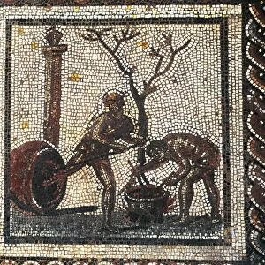 Mosaic depicting pitching of trunks