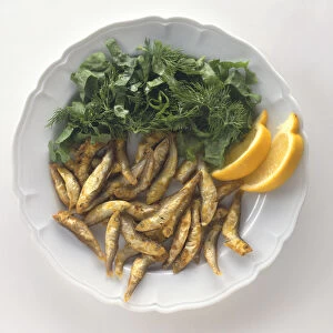 Overhead view of Marides, are tiny battered whitebait served with Kos lettuce, spring onions and lemon wedges, on white plate