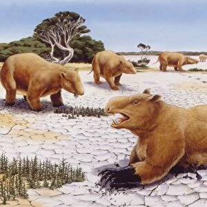 Palaeozoology, Pleistocene period, Extinct mammals, giant marsupials, Diprodoton, illustration by Nick Pike
