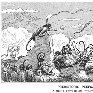 Prehistoric Peeps: Monkeys attending an evening lecture. Cartoon on evolution from Punch